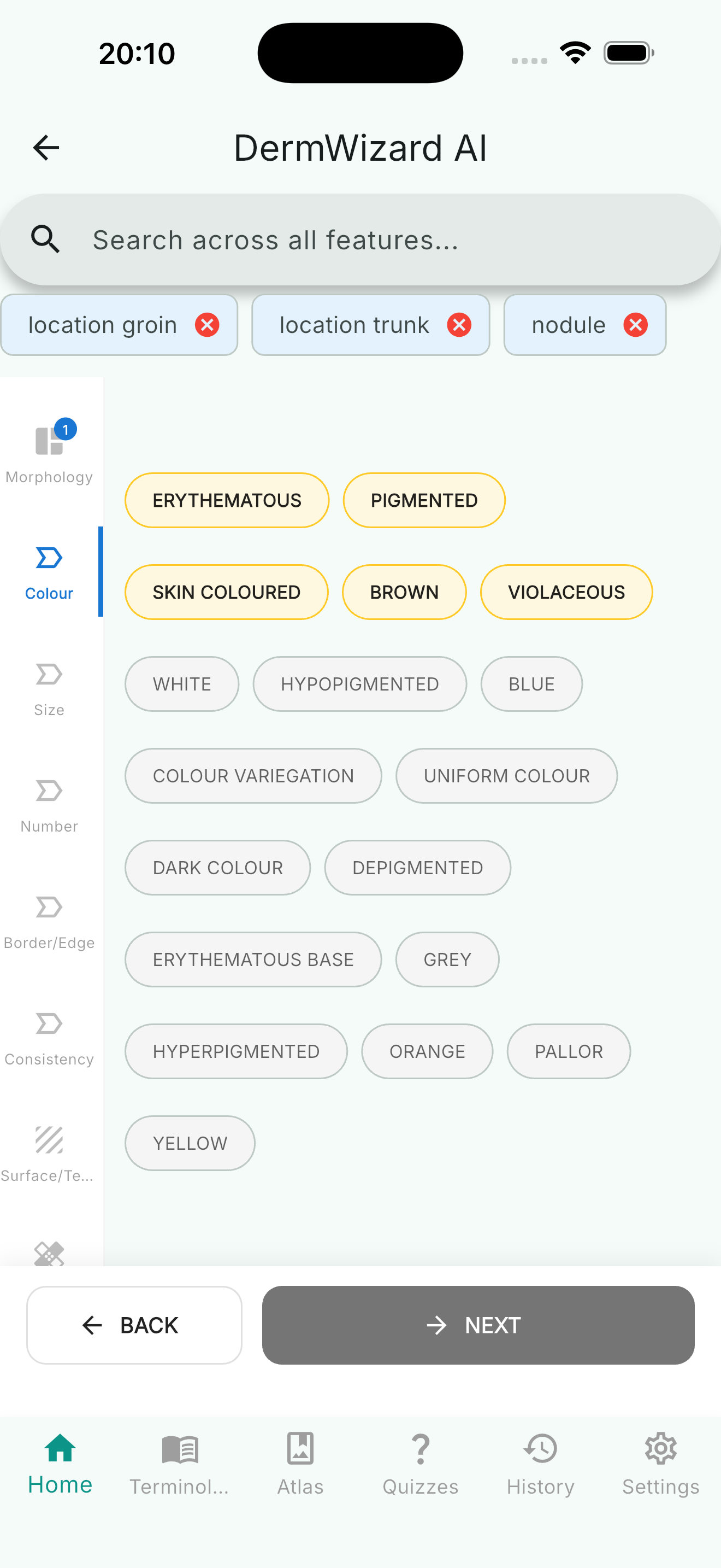 Symptom tag selection